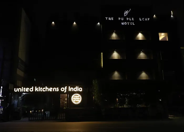 Hotel: The Purple Leaf Hotels